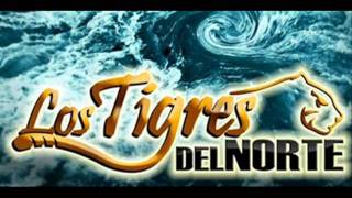 LOS TIGRES DEL NORTE - Aguas revueltas