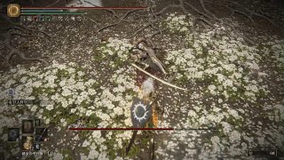 マレニアパリィ道場:アンバサ(試行回数一回)