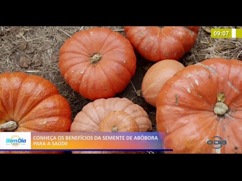 Conheça os benefícios da semente de abóbora para a saúde 09 04 2021