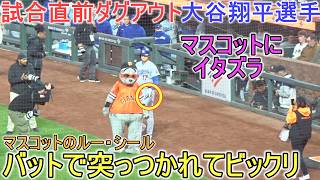 ♦マスコットのルー・シールにイタズラ♦️【大谷翔平選手】対サンフランシスコ・ジャイアンツ〜シリーズ初戦〜Dodgers vs Giants 2026