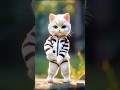 Haye Juliet Song Viral Cat Dance Hayejuliet Shorts Shortsfeed Ytshorts Billiwala Cartoon New