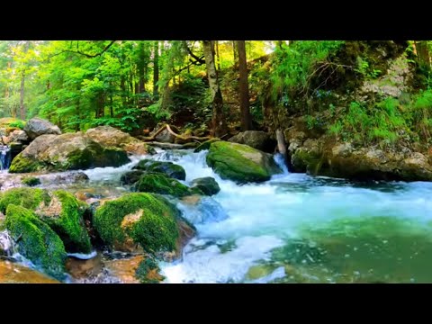 Healing River Sounds for Stress Relief, Deep Sleep, and Relaxing Nights