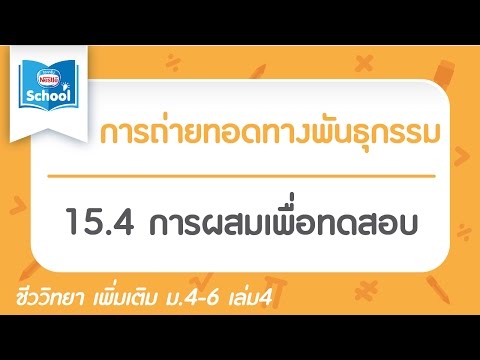 ความอ่อนแอที่นรีแพทย์ ความคิดเห็นของพรูครีมค้อน