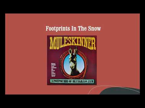 Footprints In The Snow - Muleskinner