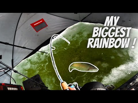 Frostbite First Ice Splash - SIGHT FISHING FOR MASSIVE TROUT