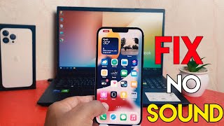 How to enable sound for screen recording in iPhone 13 Pro Max | No Sound