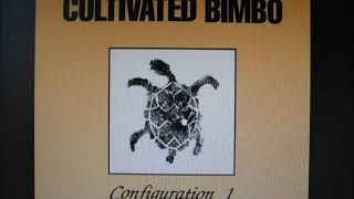 Cultivated bimbo   corruption mp4