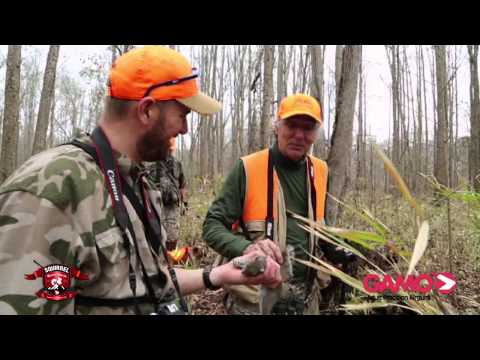 2014 Squirrel Master Classic Mashup