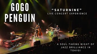 Gogo Penguin - Saturnine | Live Concert Performance in Tokyo, Japan #gogopenguin #concertexperience