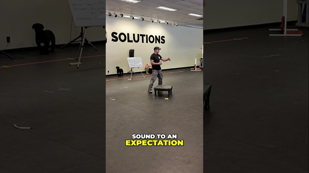 Promotional video thumbnail 3 for Marines to Mastery: Growth & Grit