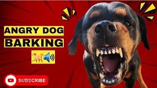 Aggressive Reactive Barking ! Angry Rottweiler 🔥