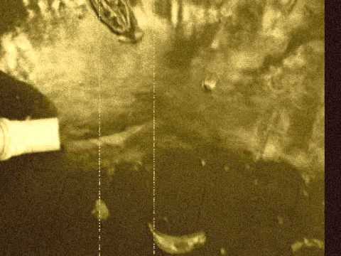 Andanças, andanças e andanças