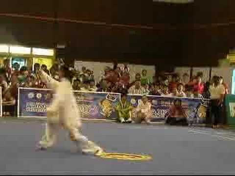 National PLayer Taijiquan @ Sukma