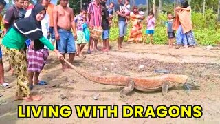 Living With Komodo Dragons