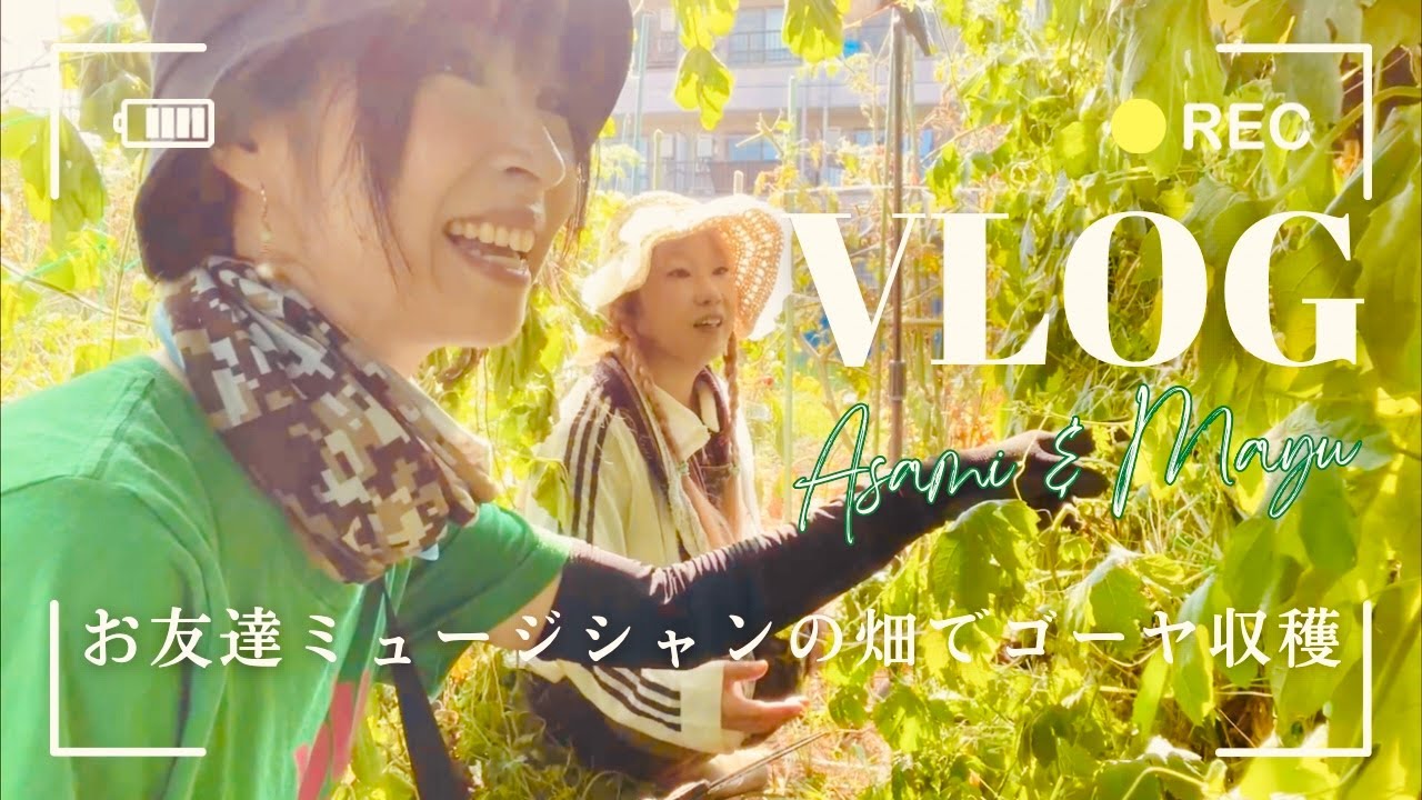 【Vlog】お友達ミュージシャンの畑でゴーヤ収穫