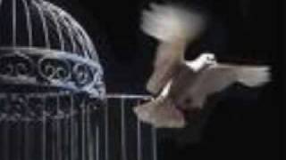 quisiera tener alas ramon ayala