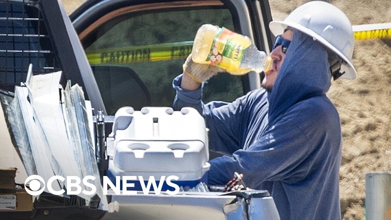 Human-caused climate change led to unusual heat worldwide, report shows