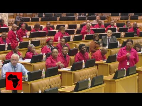 Comedy In Parliament: EFF vs Deputy Speaker Lechesa Tsenoli