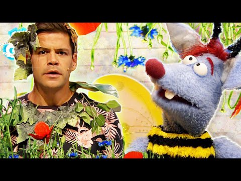 Was ist Photosynthese? l WOOZLE GOOZLE