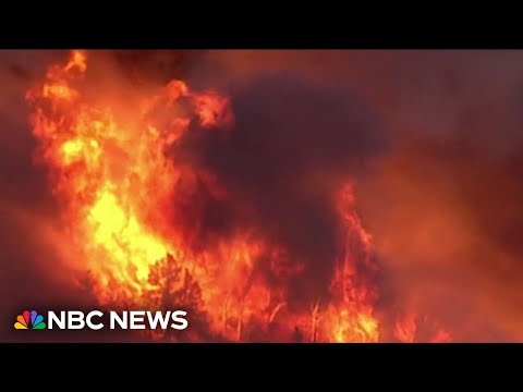 Millions endure brutal heat wave in Europe