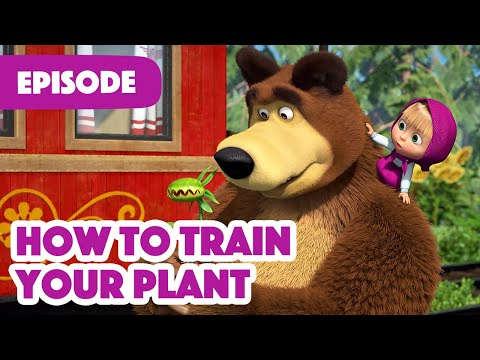 , title : 'Masha and the Bear 💥 NEW EPISODE 2022 💥How to Train Your Plant (Episode 99) 🌱🌾'
