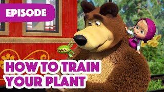Download lagu Masha and the Bear NEW EPISODE 2022 How to Train Y... mp3