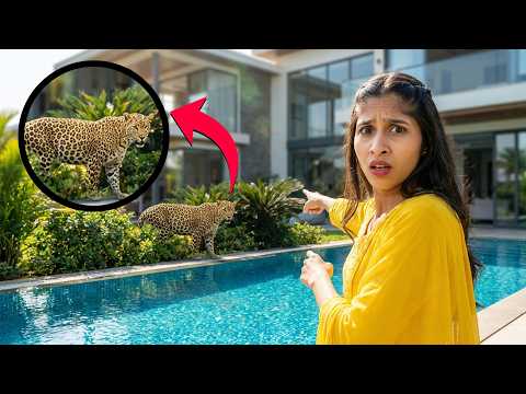 Our Trip Turned Into a Nightmare 😨 | Leopard Entered Our Place!
