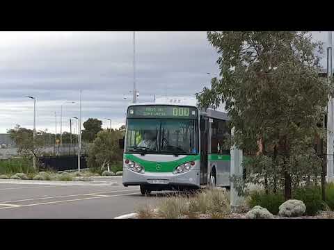 Transperth 1209 arriving at High Wycombe Station