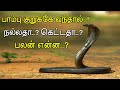 பாம்பு குறுக்கே வந்தால் நல்லதா கெட்ட