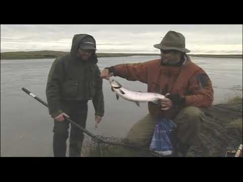 Veitt með vinum - Eystri Rangá