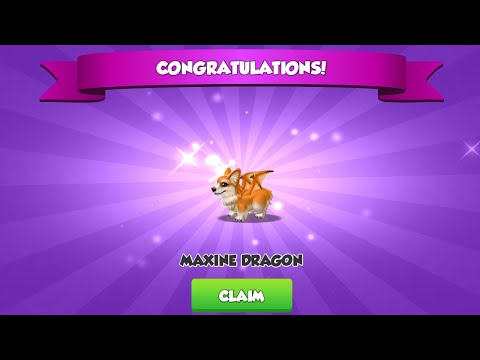 Hatching Primal Maxine dragon। Treasure Hunt। Dragon Mania Legends।
