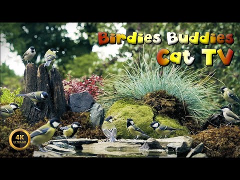 Cat TV for cats to watch 🐈 -  TITMICE IN THE GARDEN 🦜🌿 (4K)
