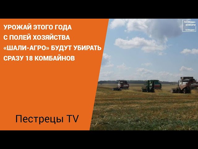 Урожай этого года с полей хозяйства «Шали-Агро» будут убирать сразу 18 комбайнов