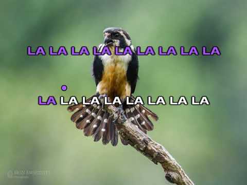 OJ, OJ, SOKOLIĆU MOJ