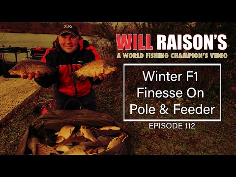 F1 WINTER Finesse On Pole & Maggot Feeder | Will Raison Fishing