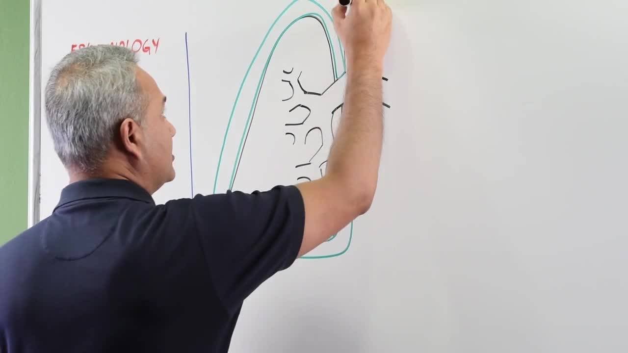 Primary Tuberculosis (part 1)