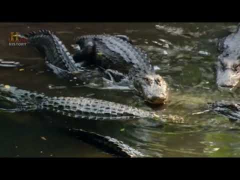 ŻYCIE PO ZAGŁADZIE LUDZI 9  dokument pl