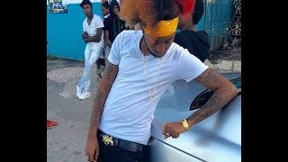 Vershon - Gullyside Chihuahua (Jahmiel Diss) - March 2017