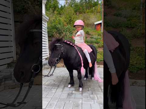 This is plant-based ECO friendly glitter🩷✨ #shortsvideo #horse #pony #glitter