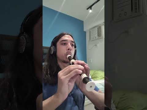 Malandramente Flauta Doce - MC Nego Bam (Com Notas) #musica #cover #flauta #recorder  #music #piano