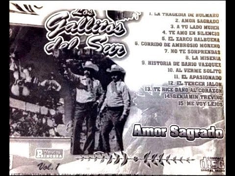 Los Gallitos del Sur - me voy lejos