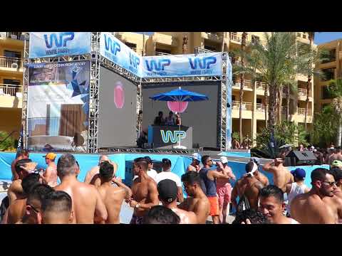DJ Alex Lo, DJ Tommy Love, Papa Wild Pool Party and The Crowd