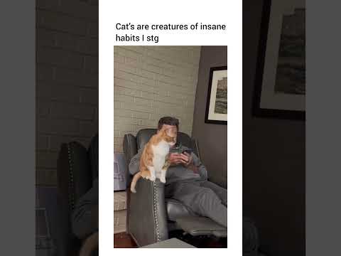 Takes a pet like no problem