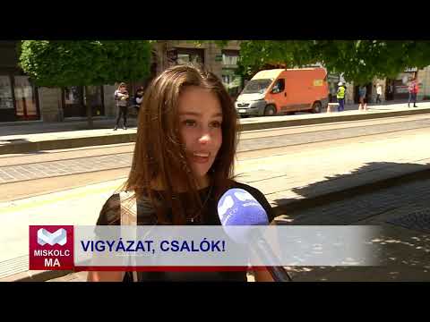 Videó előnézet
