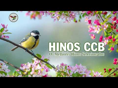 CCB Lindos Hinos Cantados - Hinos CCB Hinário 5 Cantados - Os Melhores Hinos Selecionados
