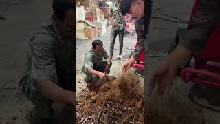 ម៉ាស៊ីនវៃមែកឈើ telegram 016532420