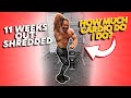 How Much Cardio Am I Doing To Get SHREDDED? How Much Should YOU Do?