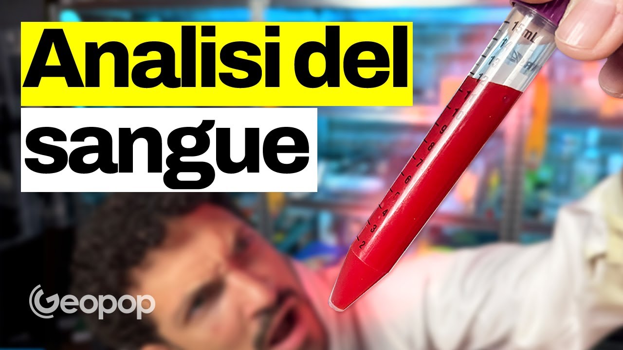 Analisi del Sangue: Il Viaggio