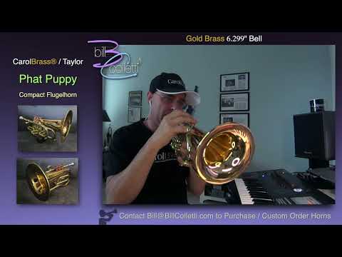 CarolBrass Pocket Flugelhorn / Taylor Phat Puppy 2024 - Polished / Lacquered image 22