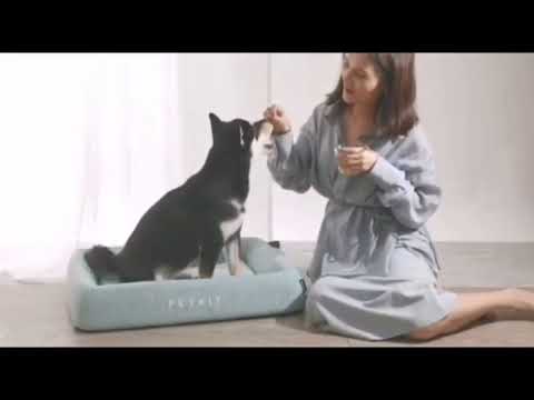 Лежак для котов и собак Petkit Four Season Sleep Bed Medium (P7110)